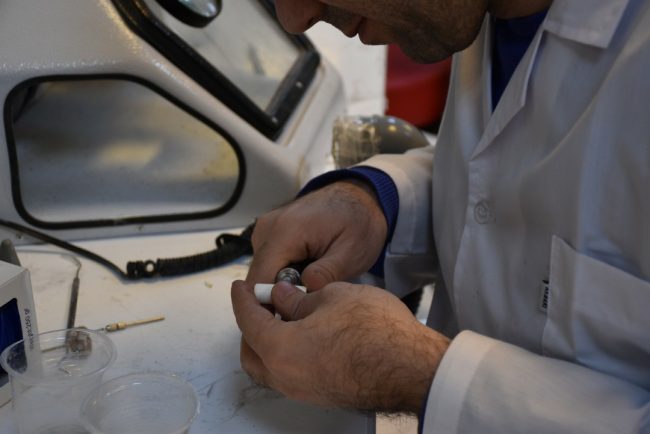 صبا تجارت مطمئن