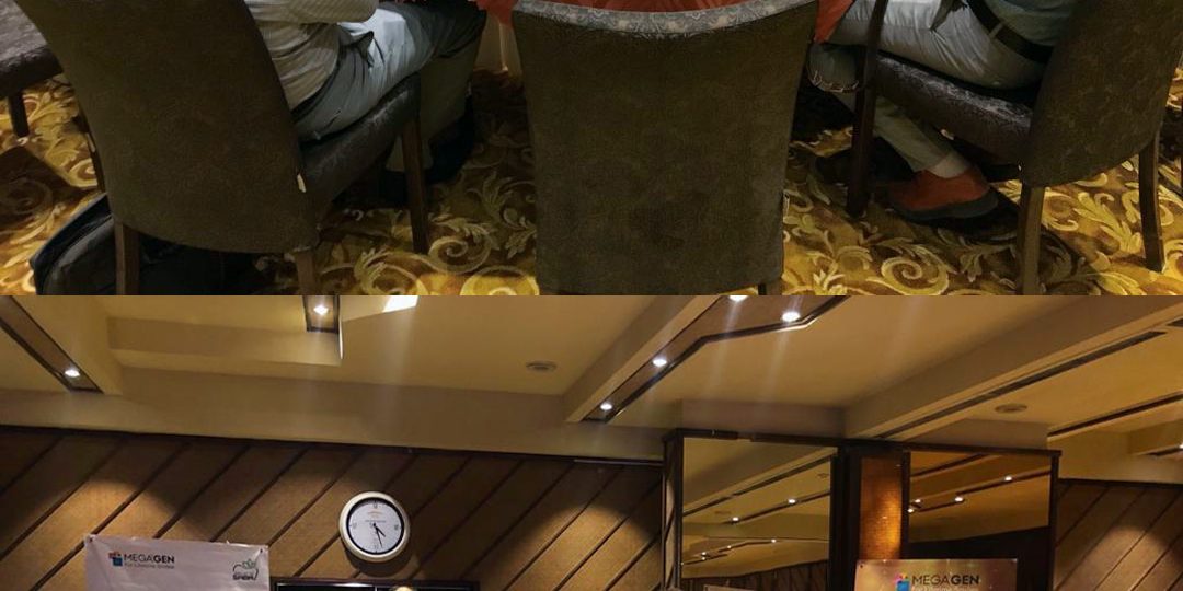 معرفی سیستم ایمپلنت مگاژن